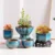 Elegant Glazed Ceramic Pots for Succulents and Small Plants