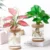 Mini Hydroponic Flower Pot Home Vase Decor