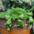 Charming Resin Frog Statue Plant Pot Hangers